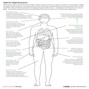 Fight or Flight Response Graphic